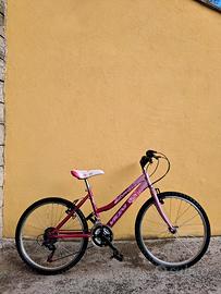 Mountain bike Vicini