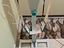 Immagine 3