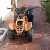 Quad 110 4t