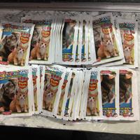 Figurine cucciolotti 2026 50 pacchetti nuovi