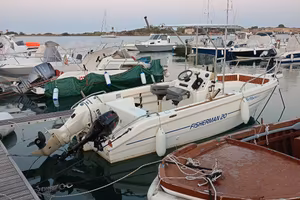 Mingolla Fisherman 20 Evinrude 90 CV Suzuki 15 CV 