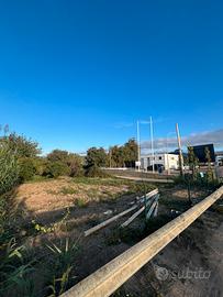 Terreno agricolo - frutteto