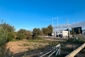 Terreno agricolo - frutteto