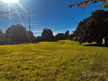 Grande terreno edificabile per 3 lotti