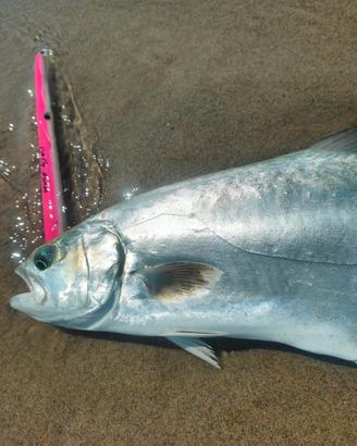 Needle Anguglia210mm by A.G.Lures