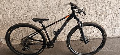 mtb 29 alluminio