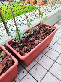 Vasi per giardino in plastica