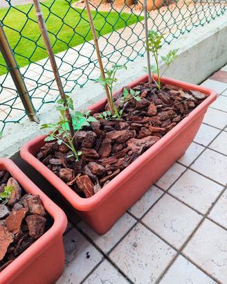 Vasi per giardino in plastica