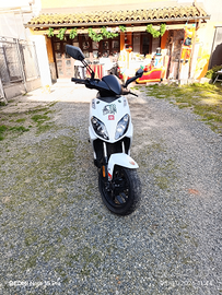 Scooter Derbi variant sport 50