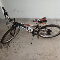 Bicicletta mountain bike