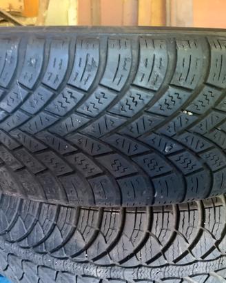 GOMME ESTIVE