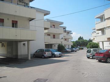 Bilo fino maggio