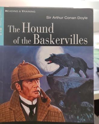 The Hound of the Baskervilles, Black cat