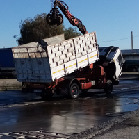 Camion con gru