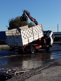 Camion con gru