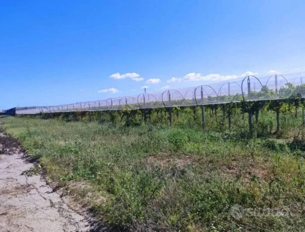 Immobile in asta di 35652 m² a Licodia Eubea - Vista 5