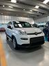 fiat-panda-2024-km-0-pandina