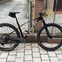 PROCALIBER 9.7 AXS L 29 RD 2025