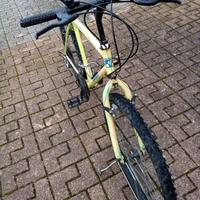 Bicicletta mountain bike