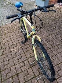 Bicicletta mountain bike