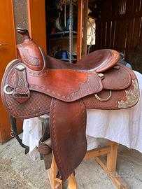 Sella western Reining All around