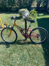 Bici ragazzo