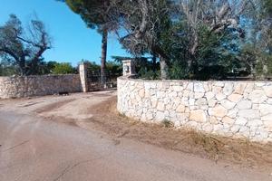 Casetta in campagna ma vicina al mare