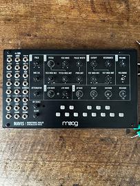 MOOG Mavis - Analog Synthesizer