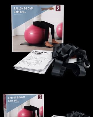 Ballon de gym 2 