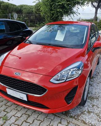 Ford Fiesta 1.1 GPL 5 porte Anno 2019