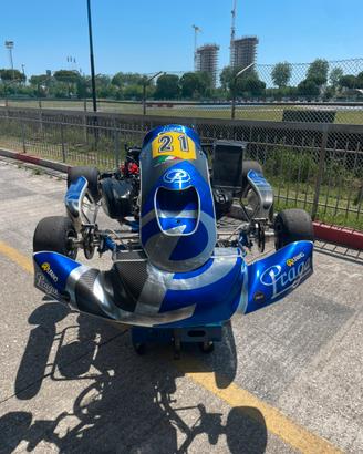 Go kart dd2 Rotax Praga