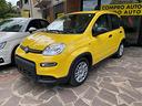 fiat-panda-1-0-firefly-s-s-hybrid-pandina