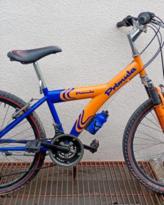 Mountain bike ragazzo