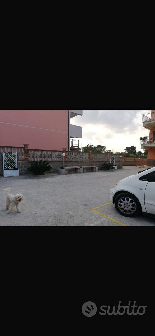 Appartamento – Torrenova, Cuffari - Vista 5