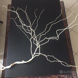 Rami secchi decorativi