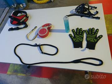 Guinzaglio da addestramento a strozzo cane