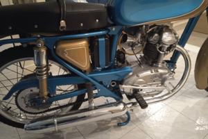 Moto Ducati 125 Sport oro