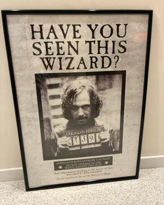 Quadro poster Sirius Black