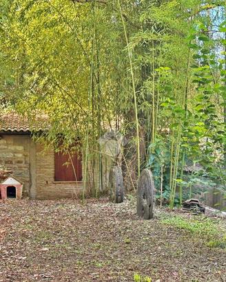 CASA INDIPENDENTE A GUALDO TADINO