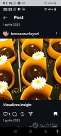 pasticcere esperto 