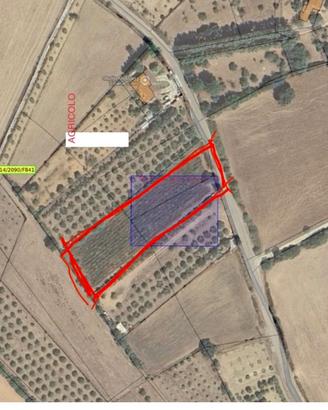 Terreno agricolo