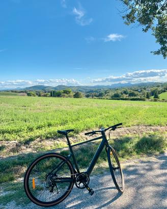 Bicicletta elettrica FIIDO C21