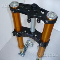 Suzuki avantreno special forcelle ohlins nix