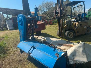 Falciacondizinatrice