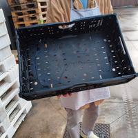 cassette di plastica