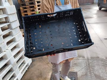 cassette di plastica