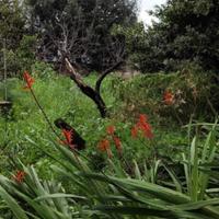 Terratetto unifamiliare