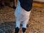 Immagine 3