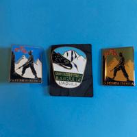 lotto 3 spille alpini