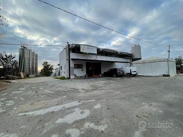 Cantina vinicola con attrezzature e capannone